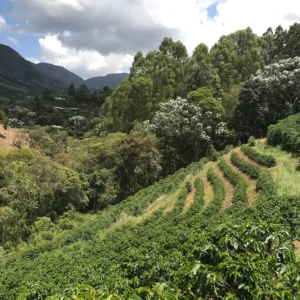 caparao squared 005 (1)